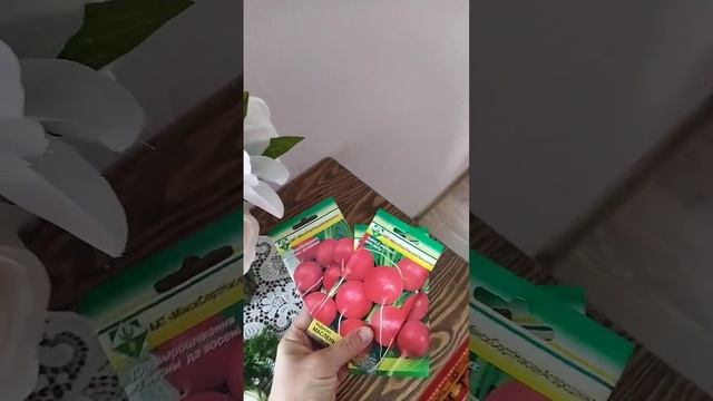 Супер овощ с весны по осень смотреть онлайн