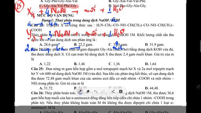 HÓA 12, CHƯƠNG 3: BÀI TẬP PEP, PRO + NaOH (2) (XẤP NHCH) смотреть онлайн