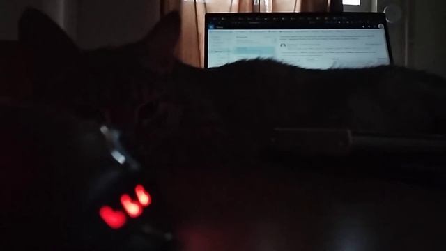 Tranquility смотреть онлайн