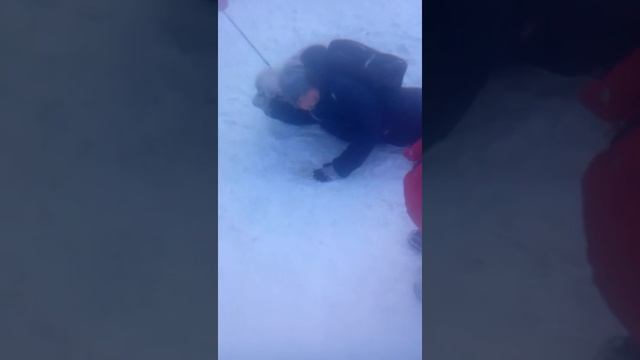Собака одичала смотреть онлайн