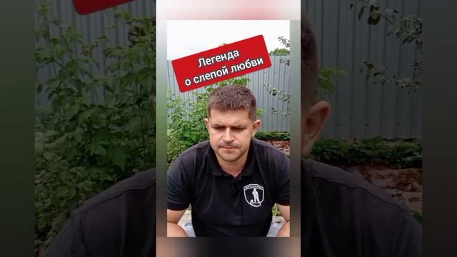 БАТЯДЕД - "ЛЕГЕНДА О СЛЕПОЙ ЛЮБВИ" смотреть онлайн