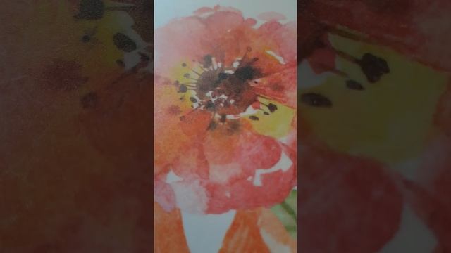 Программа "От сердца к сердцу "СИЛА МЫСЛИ И СИЛА СЛОВА.В моей жизни наступили безопасные времена смотреть онлайн