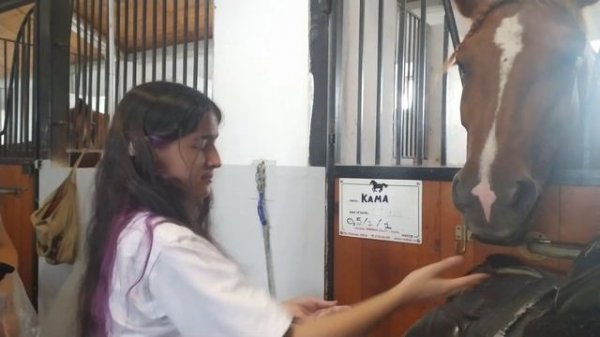 СЕЛФИ 🤳 БО АСП АСПАМ ХАМИН ХЕЛ МЕШУДАСД🙄🤔 ЭКСКУРСИИ ПО ИППОДРОМУ 🤗