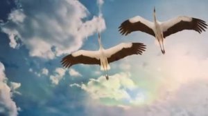 Журавли - Марк Бернес