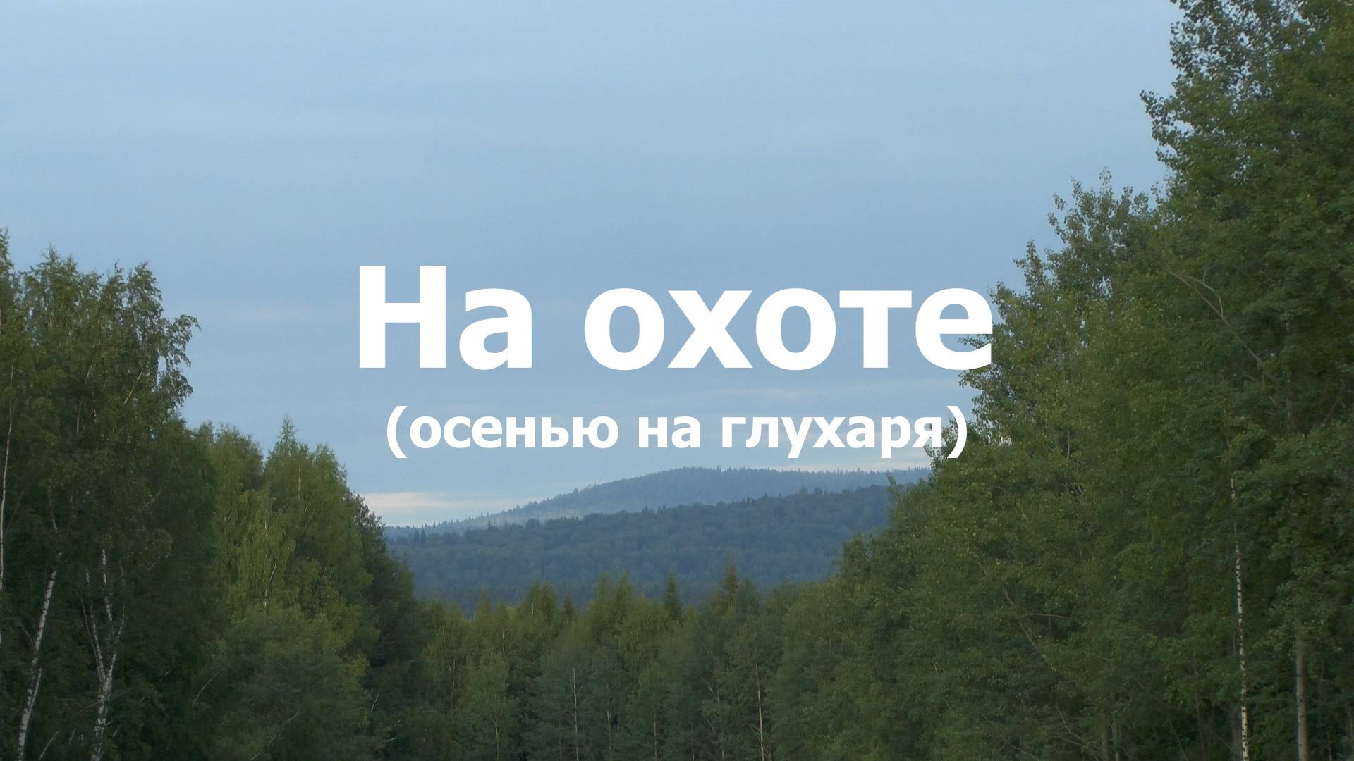 На охоте. Осенью на глухаря
