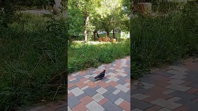 ЖИЗНЬ СЕГОДНЯ И СЕЙЧАС♥️ смотреть онлайн