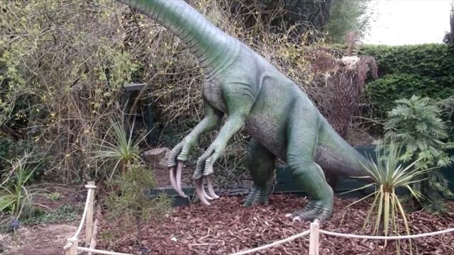 10 Najdziwniejszych dinozaurów смотреть онлайн