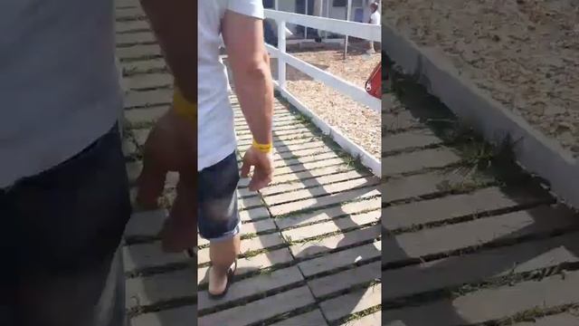 Поехали на ферму Альпак( баран съел еду!!!) смотреть онлайн