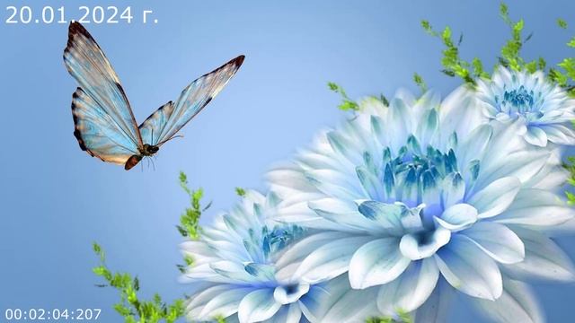 871.2 О Религиозности 20.01.2024 г смотреть онлайн