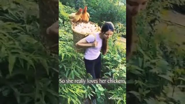 Да Корея ин гуна мурғпарвари ҳаст 2021/ In Korea there is this kind of poultry 2021 смотреть онлайн