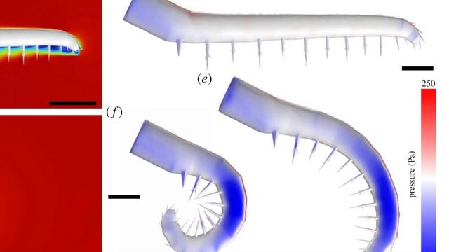 АНОМАЛОКАРИС НЕ МІГ ПОЛЮВАТИ НА ТРИЛОБІТІВ
