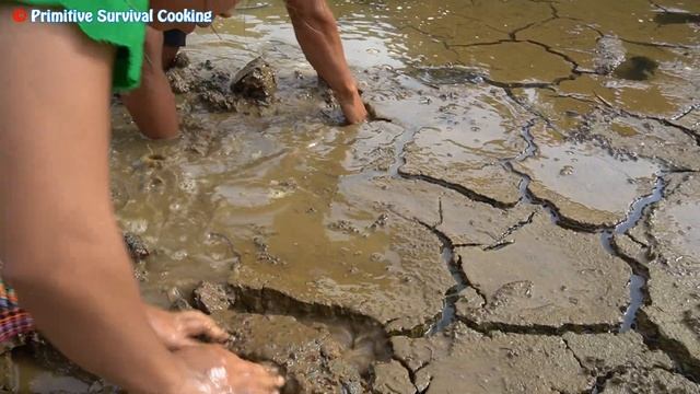 Survival Skills: Primitive Life Dig Crack Underground Mud Find Catfish - Unique Catch Fish смотреть онлайн