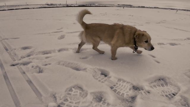 На водоёме Грязнуха полная смотреть онлайн