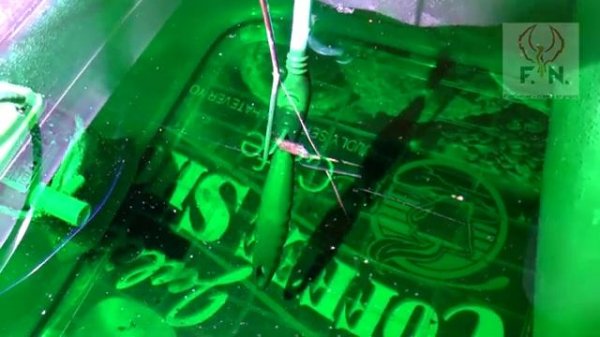 Гальванопластика серебром.