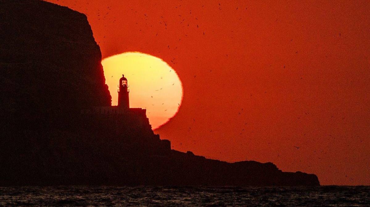 534-й Живой ПОТОК 2024.12.28 19-58-39 на ресурсе «Ник Смотровой» смотреть онлайн