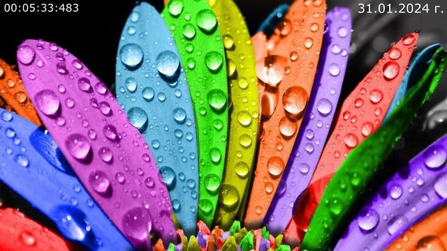 876 Душа 31.01.2024 г смотреть онлайн