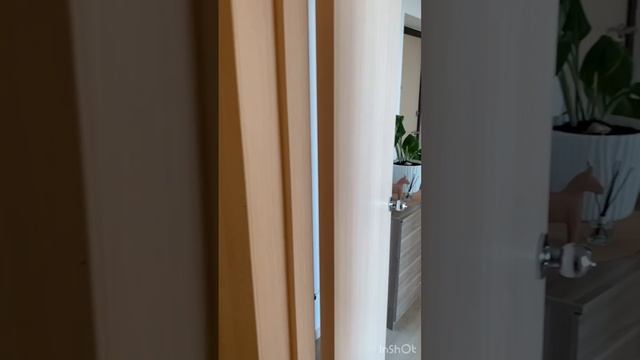 В гостях у Насти