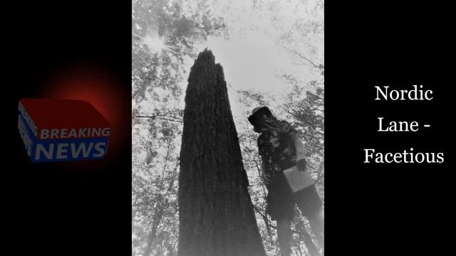 Nordic Lane - Facetious смотреть онлайн