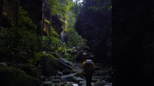 Королевский Каньон смотреть онлайн
