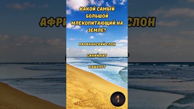 Викторина "Тест на эрудицию: Разнообразные вопросы" №5 #викторина #эрудиция #квиз #тест смотреть онлайн