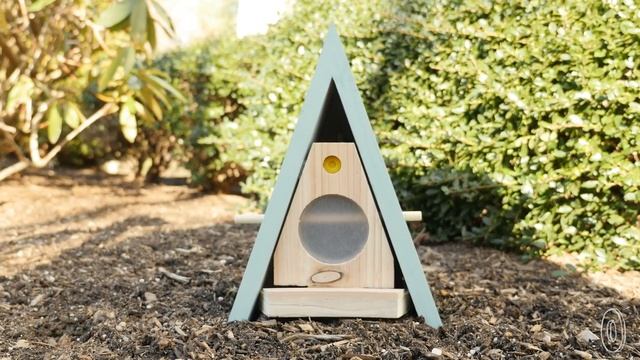 Should you open an Air Bee and Bee? смотреть онлайн