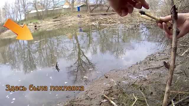 Эпичная поклевка щуки. Ловля плотвы и голавля. смотреть онлайн