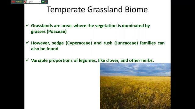 Biome смотреть онлайн