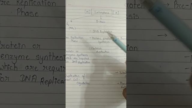 Synthesis phase #010 смотреть онлайн