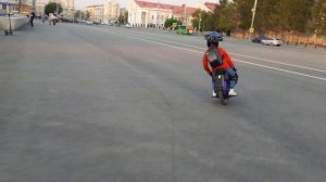 InMotion V12 HS - Vika