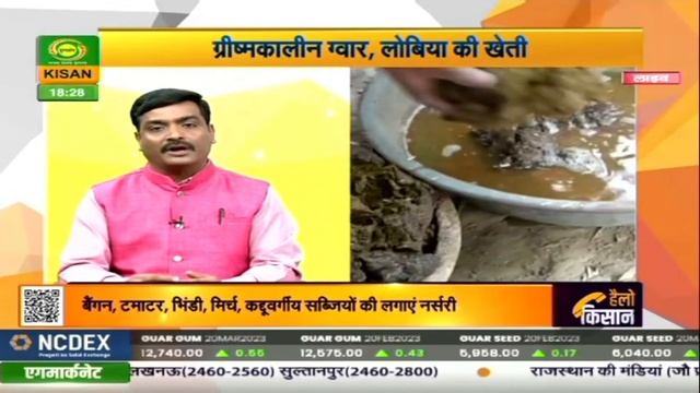 हैलो किसान : ग्रीष्मकालीन ग्वार व लोबिया की खेती प्राकृतिक खेती से पौधा सरंक्षण | March 01, 2023 смотреть онлайн