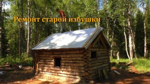 Восстановление старой избушки в тайге.