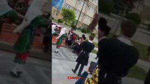 Даргинская песня. Заур Алибеков