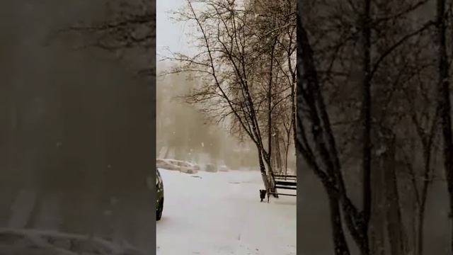 Снежныйапрель#снегвесной#снегопад#музыкадлядуши#новыепесни#песнидлядуши#николайевсюков#сергейодинцов смотреть онлайн