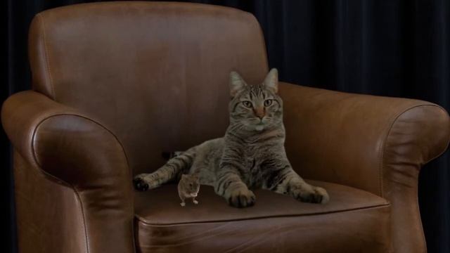 The Real Tom and Jerry's Armchair Wisdom ep3 смотреть онлайн