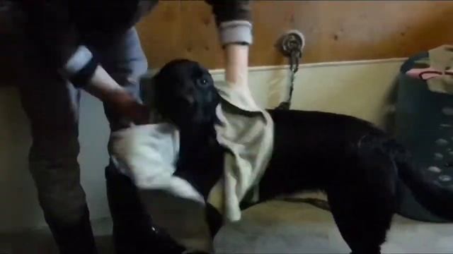 Bath time! смотреть онлайн