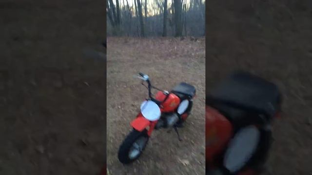 honda z50R mini trail Z50 смотреть онлайн