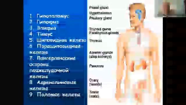 gormon смотреть онлайн