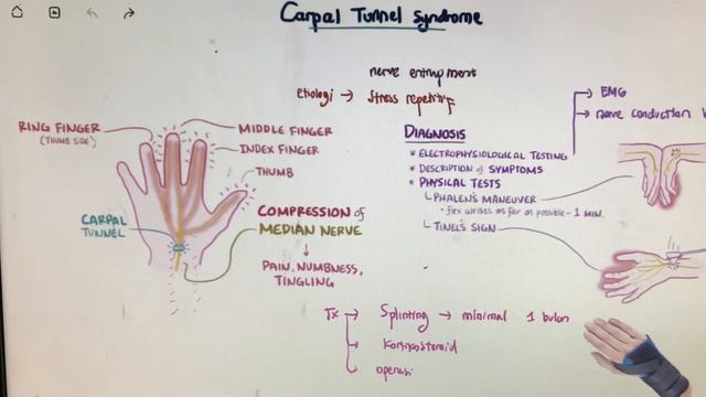 Modul Neurologi #edisi18 #cbt#ukdi#kmppd#dokter#dokterumum смотреть онлайн
