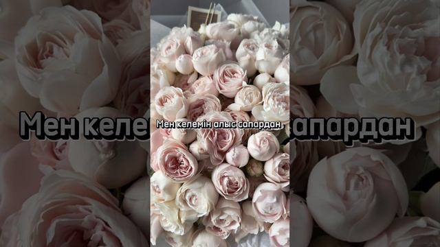 Ай, Фарида Фарида ТЕКСТ ПЕСНИ смотреть онлайн