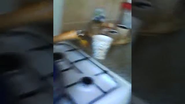 VLOG.что я делаю утром.....манная каша смотреть онлайн