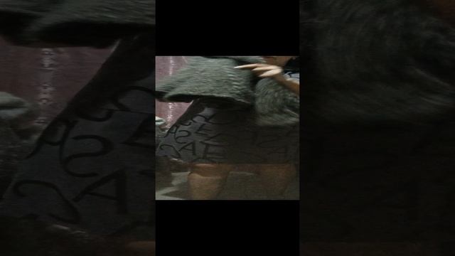 1000111646.mp4Пуховые платки у Ольги из Волгоградской области. смотреть онлайн