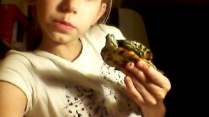 Новый VLOG про черепах