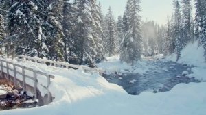 Музыка. Клипы 4К. Снег во дворе...