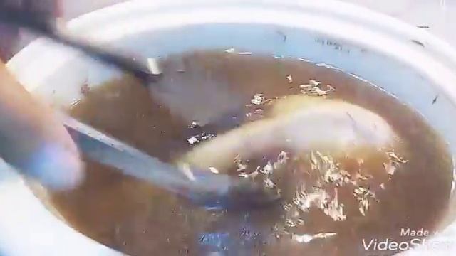Lengua de Res (Carpaccio y Tacos) смотреть онлайн