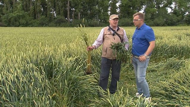 Тихонов от имени науки, практики и технологического суверенитета. Директор учхоза РГУ.