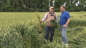 Тихонов от имени науки, практики и технологического суверенитета. Директор учхоза РГУ.