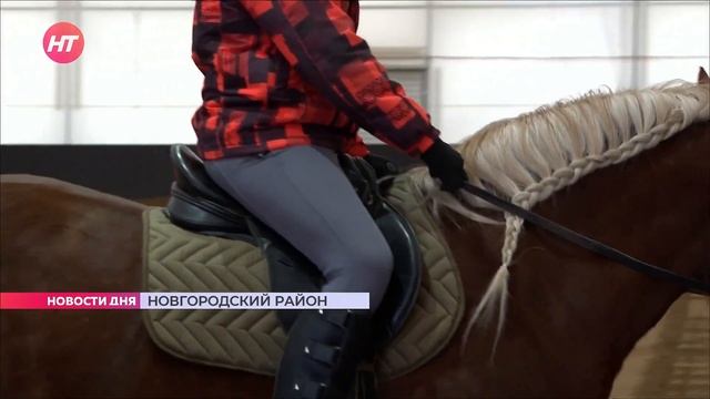 17.02.2023 Депутаты предложат включить иппотерапию в перечень услуг для реабилитации инвалидов