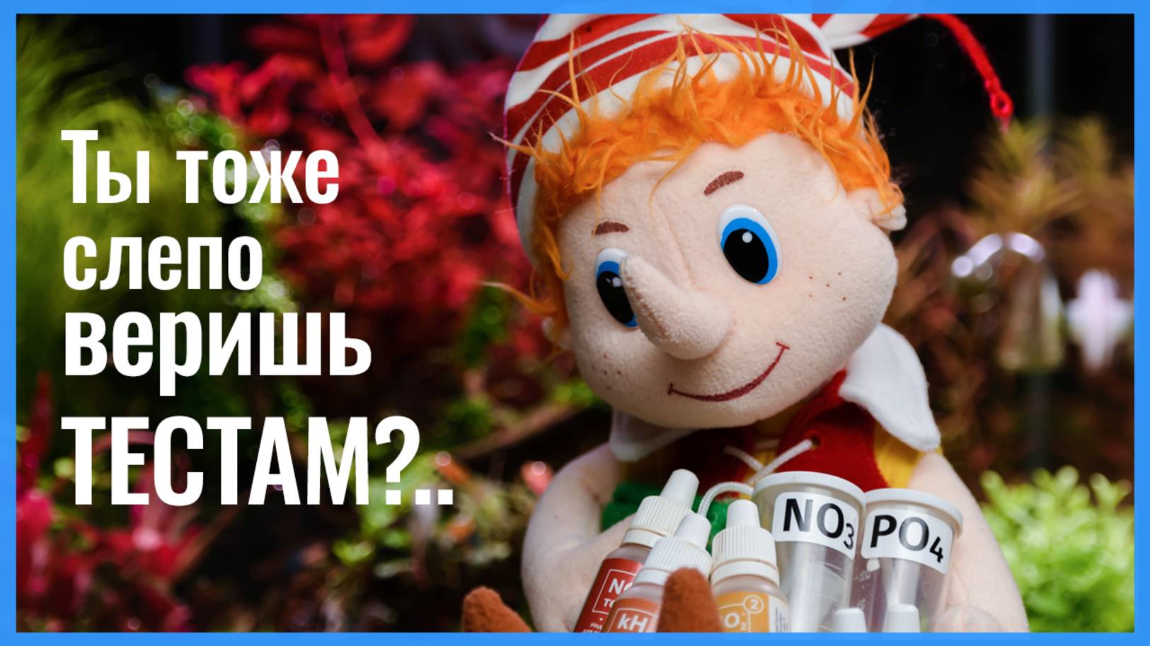 ТОЖЕ ВЕРИШЬ аквариумным ТЕСТАМ? Зачем НУЖНЫ? Почему не стоит верить показаниям? Как ПОМОГАЮТ? смотреть онлайн