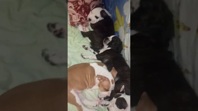 Наигрались. смотреть онлайн