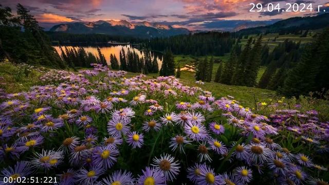 908 Ураган 2024 г. смотреть онлайн